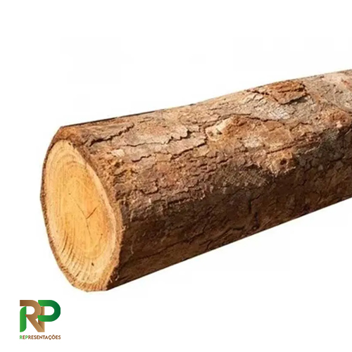 Pontalete de Eucalipto Roliço